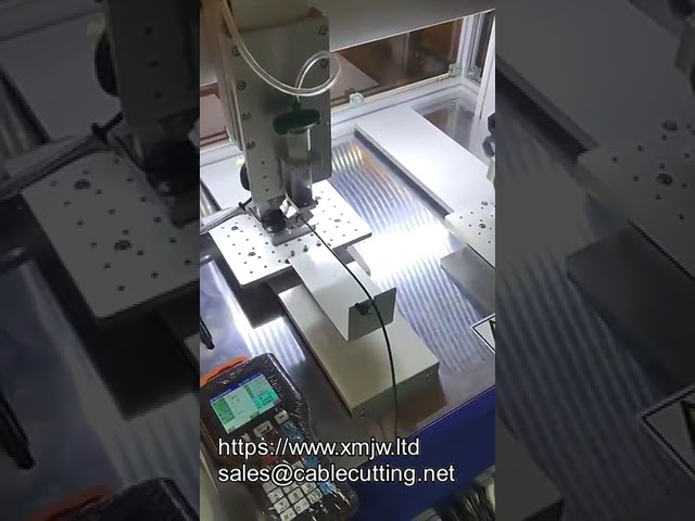 AB Glue Dispensing Machine | 3-Axis or 4-Axis Desktop Dispenser | Customized