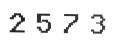 Verification Code Image