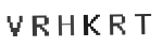 Verification Code Image
